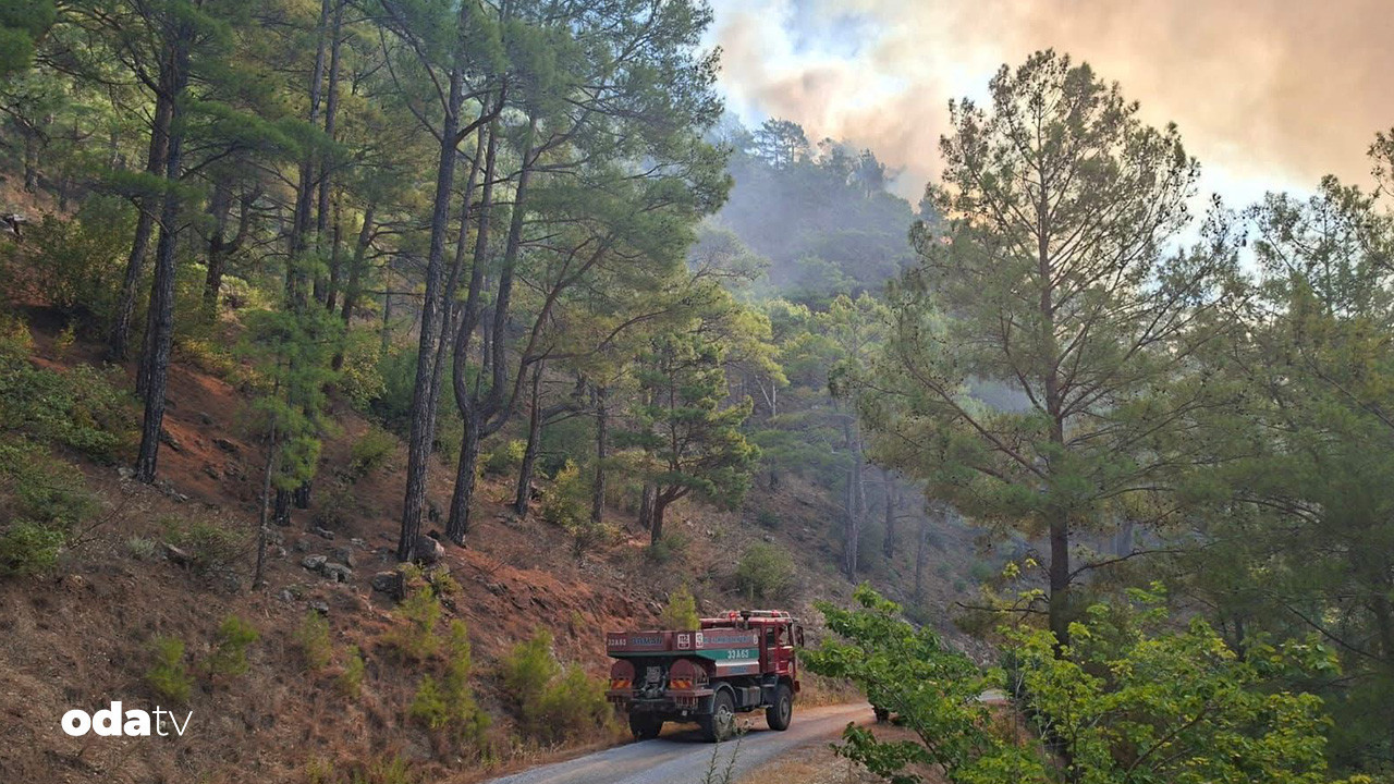 mersinde orman yangini cikti inntmgsk
