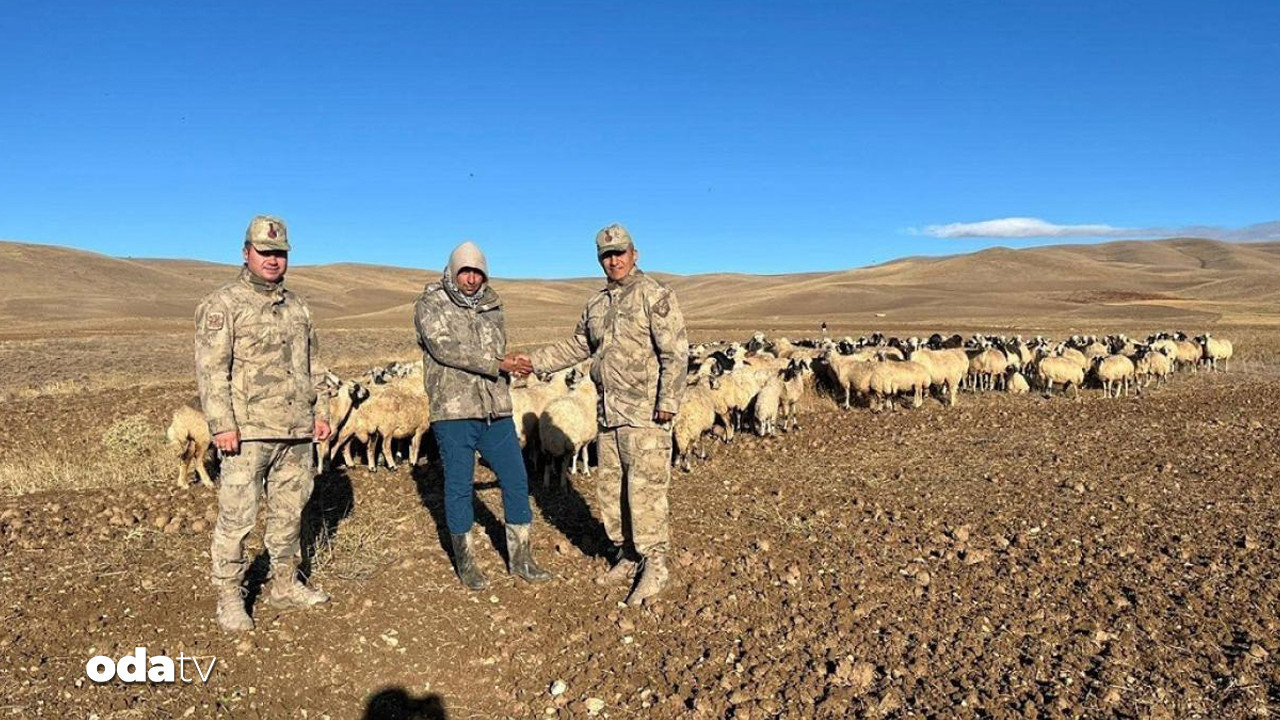 kayip 300 koyunu iha buldu 7kERO9ln