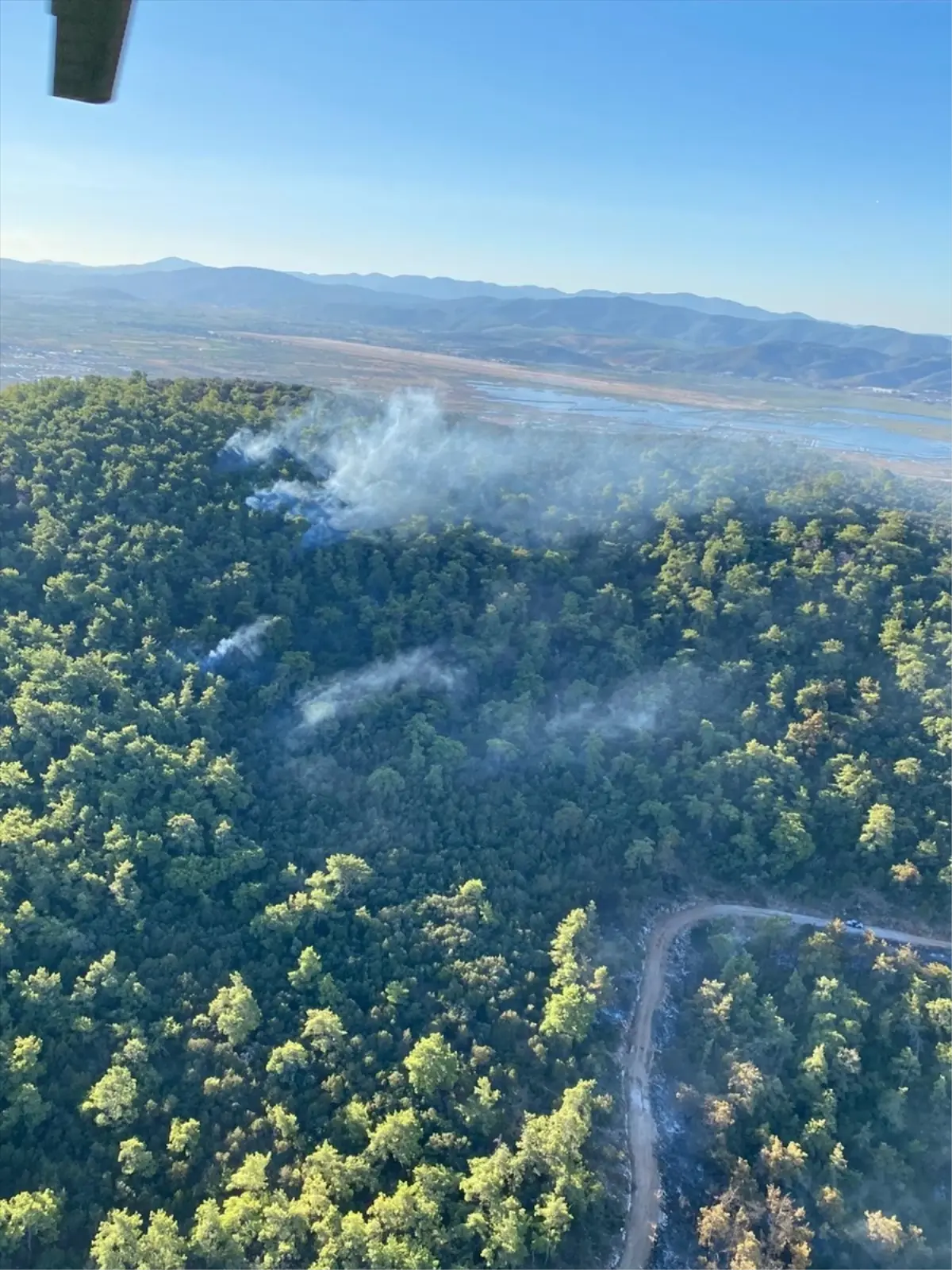 Milas’ta Orman Yangını Sürüyor milasta orman yangini suruyor uV8JxsN4