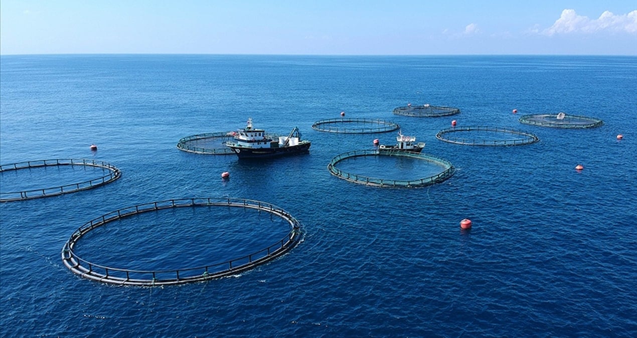 turk su urunlerine kanada pazari yeniden acildi xi8NQOu1