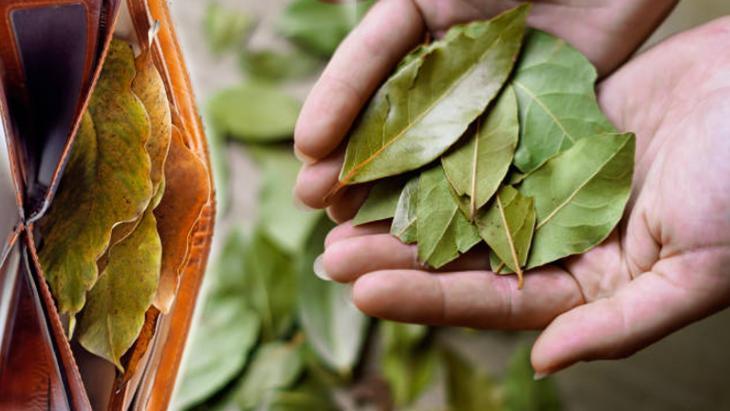 folyoya sarip cuzdaniniza koyun basit bir adimla bereket enerjisini cekin csqezeSd.jpg