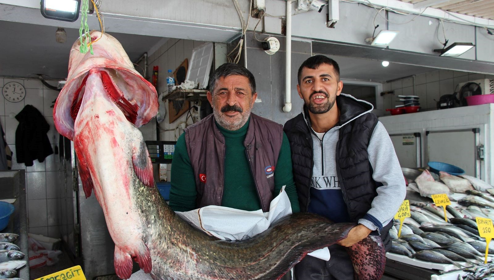 kilosu 250 liradan satisa sunuldu tam 85 kilogram agirliginda icIbQMDY