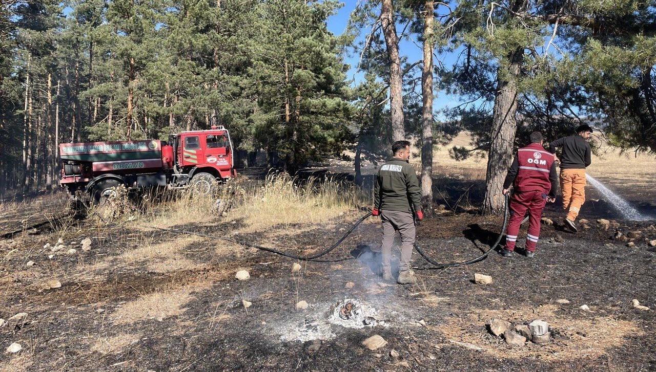sarikamista cikan orman yangininda yaklasik 1 hektar alan zarar gordu iUwFjONs