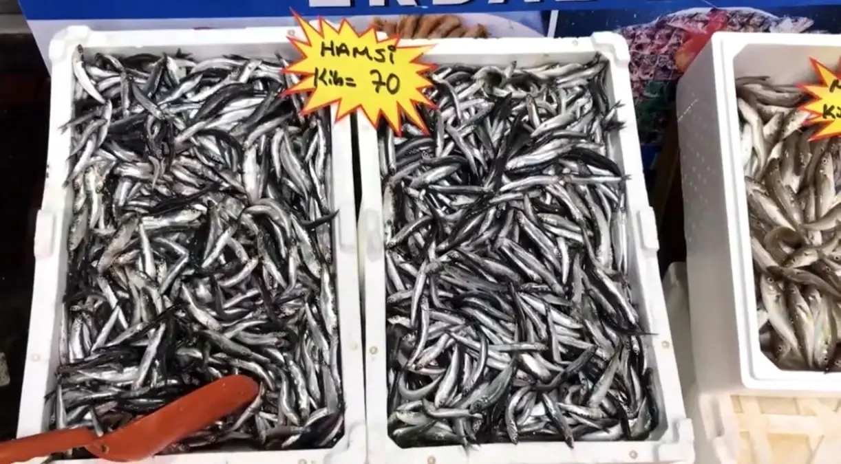 akcakoca balikci barinagi baskanindan taze balik uyarisi 8DFvtj81.jpg