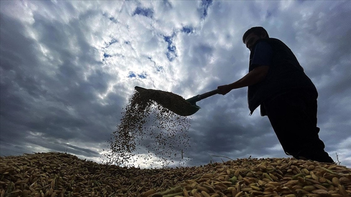 zirai don desteginde ureticilere 17 milyar lira daha odenecek fCgne9sI.jpg