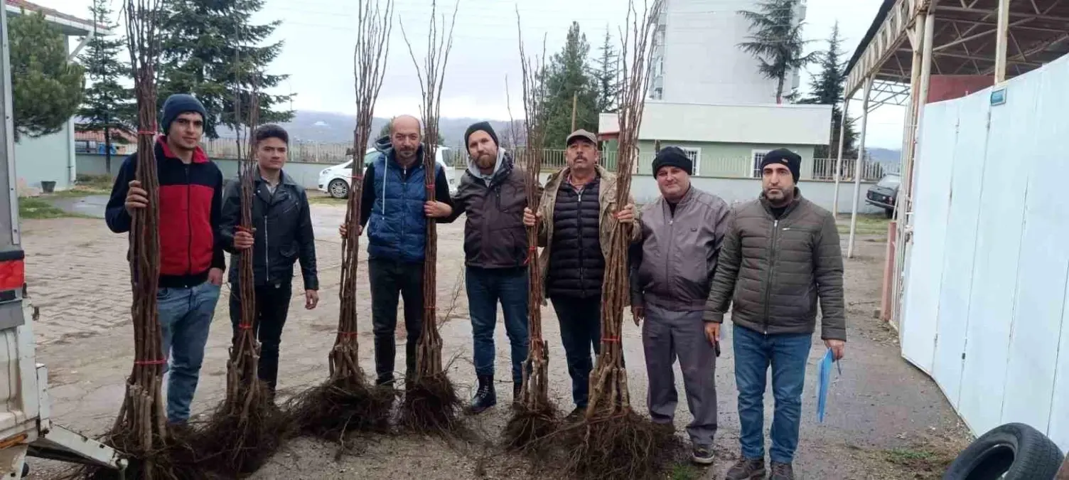 “Meyveciliği Geliştirme” projesi Pazaryeri’nde hayata geçti