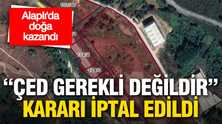 alaplida-doga-kazandi-ced-gerekli-degildir-karari-iptal-edildi-6KhDASOb